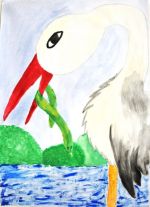 Kolesárová Gabriela.jpg